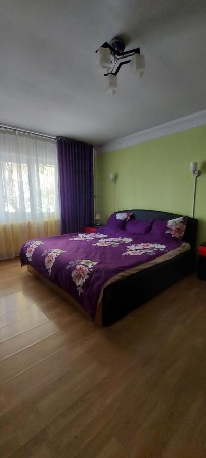 Apartament 이아시 외부 사진