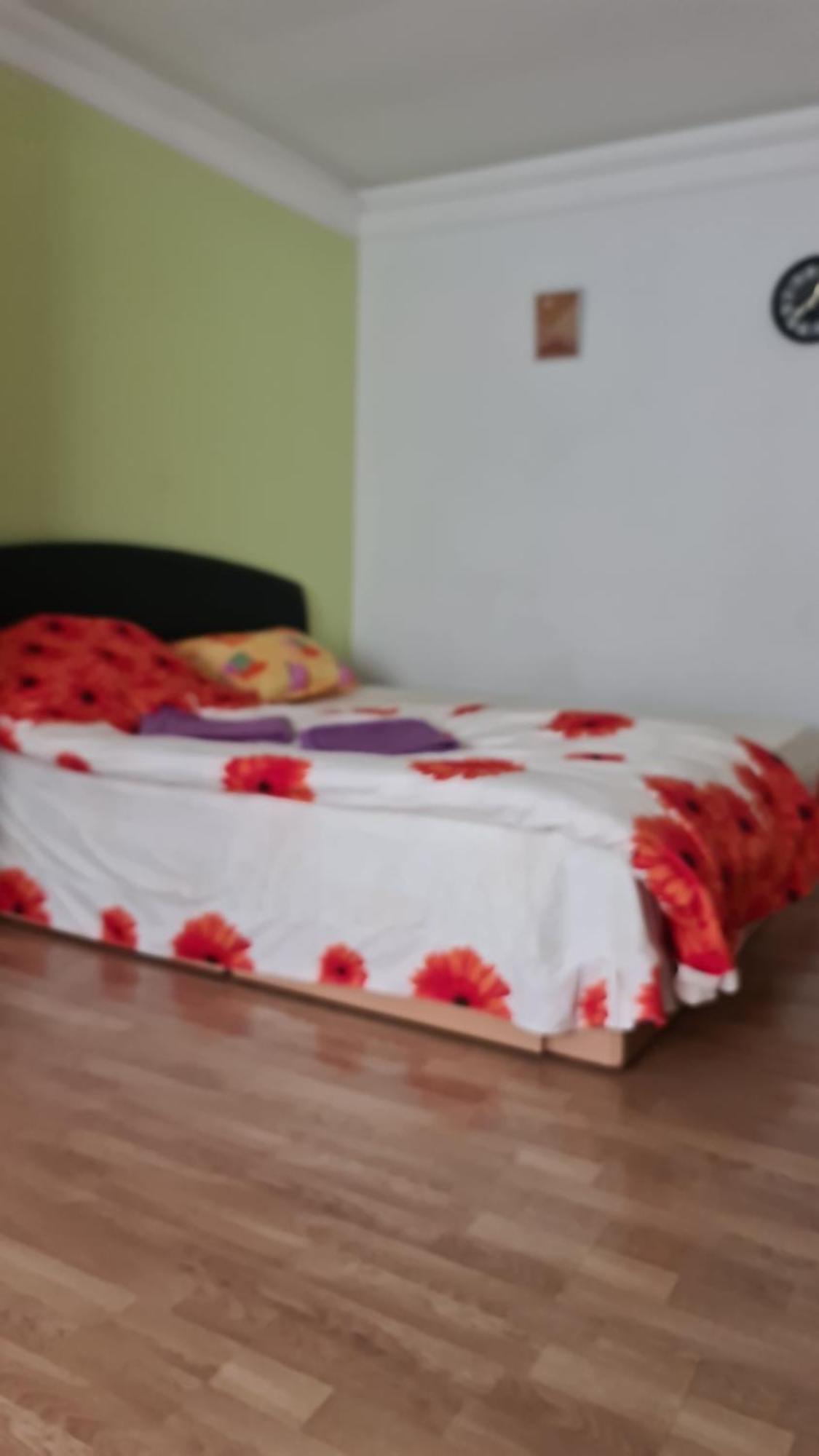 Apartament 이아시 외부 사진