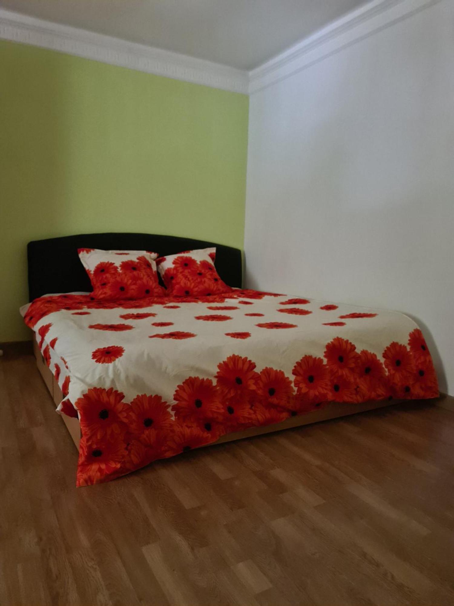 Apartament 이아시 외부 사진